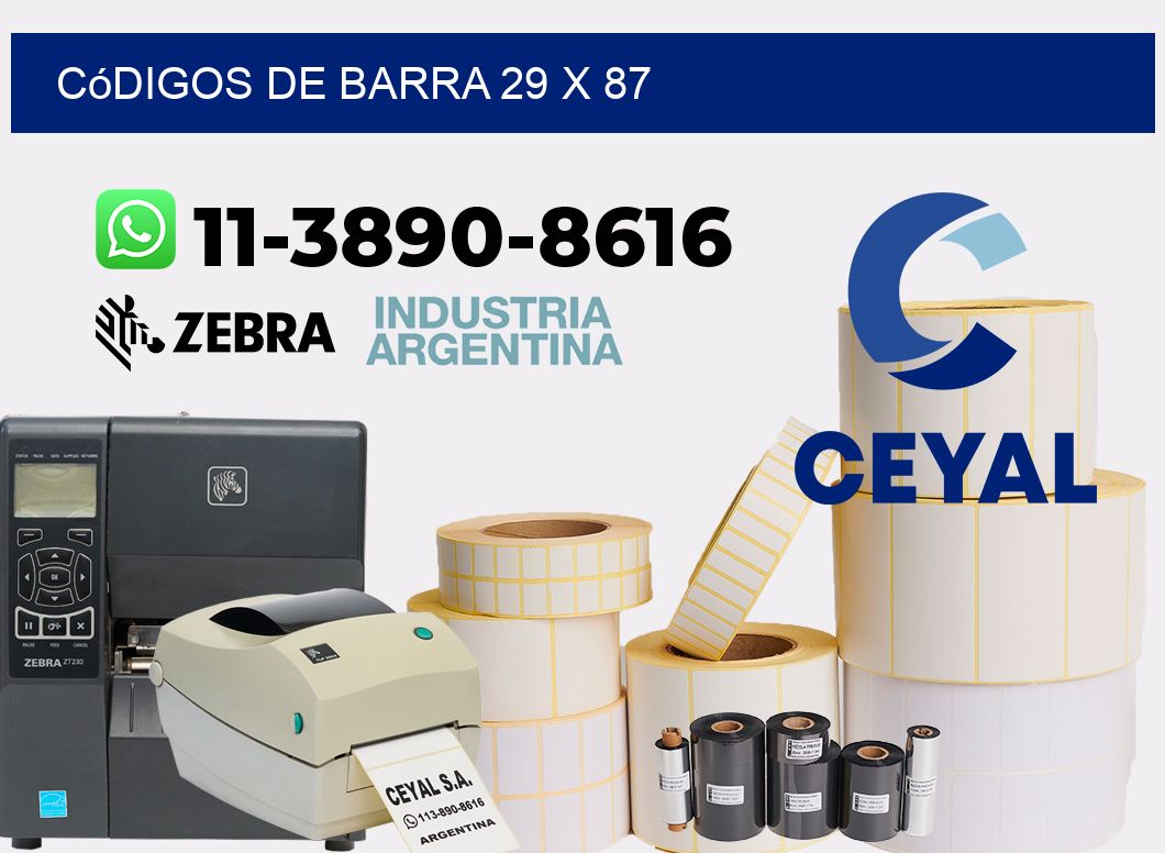 códigos de barra 29 x 87