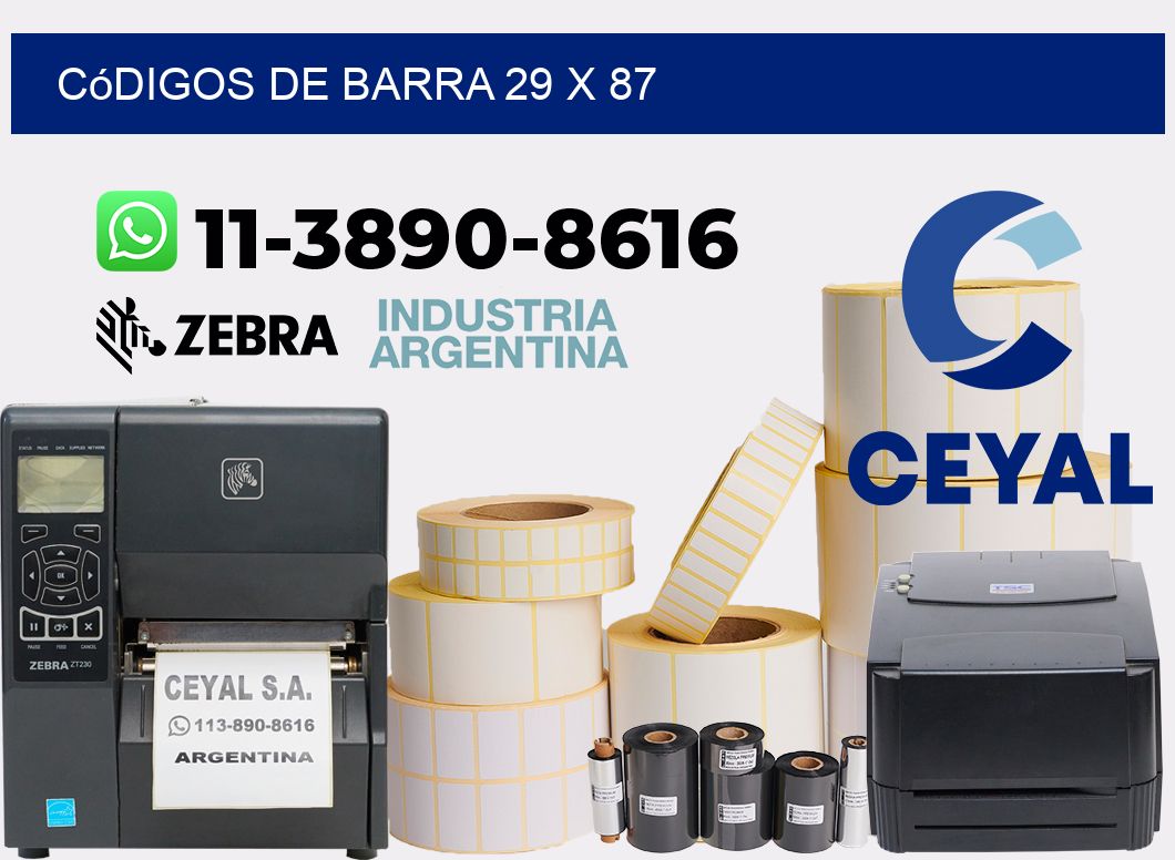 códigos de barra 29 x 87