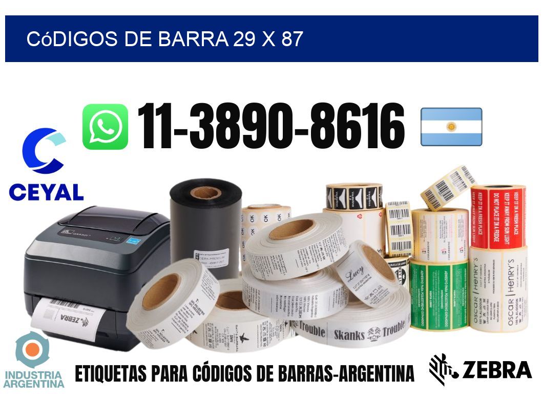 códigos de barra 29 x 87