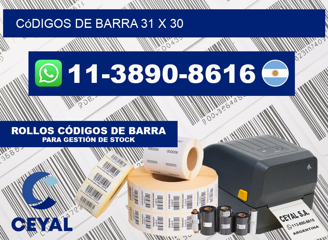 códigos de barra 31 x 30