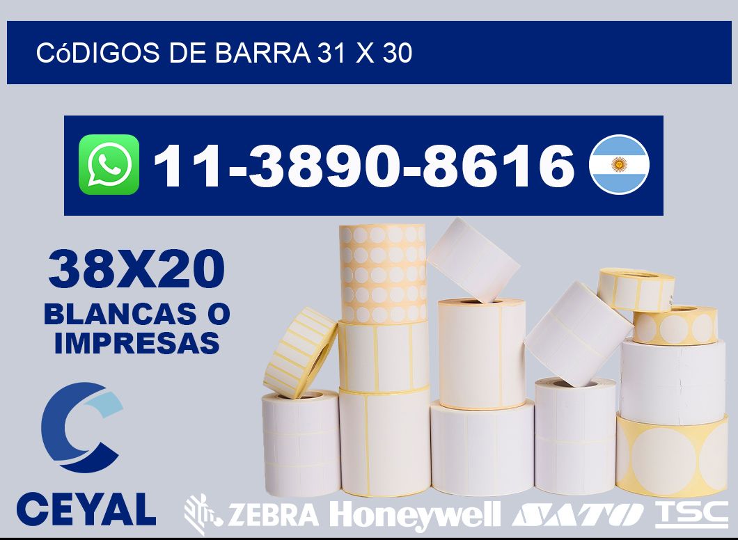 códigos de barra 31 x 30