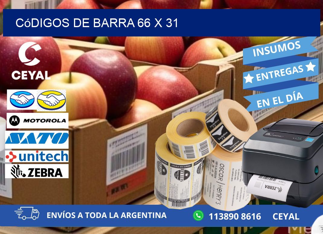 códigos de barra 66 x 31