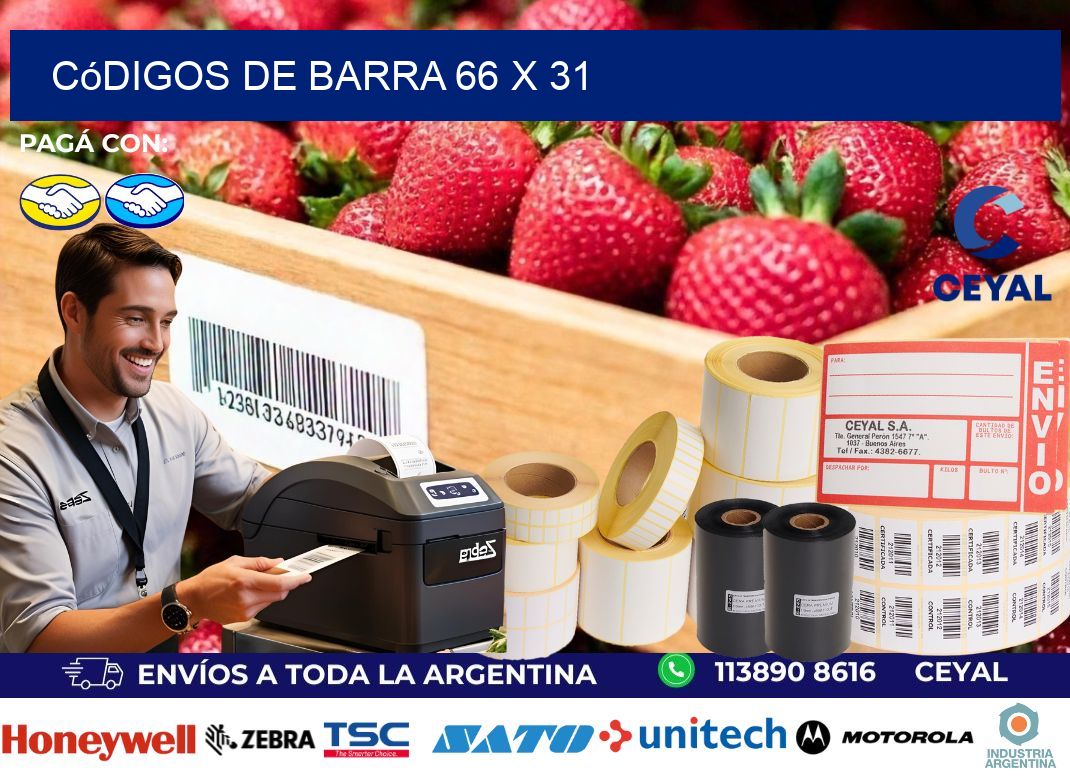 códigos de barra 66 x 31