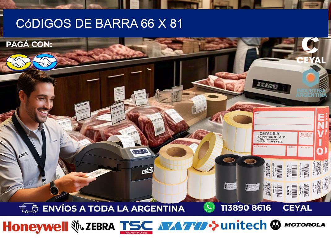 códigos de barra 66 x 81