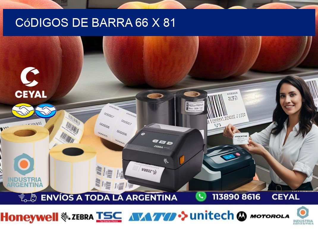 códigos de barra 66 x 81