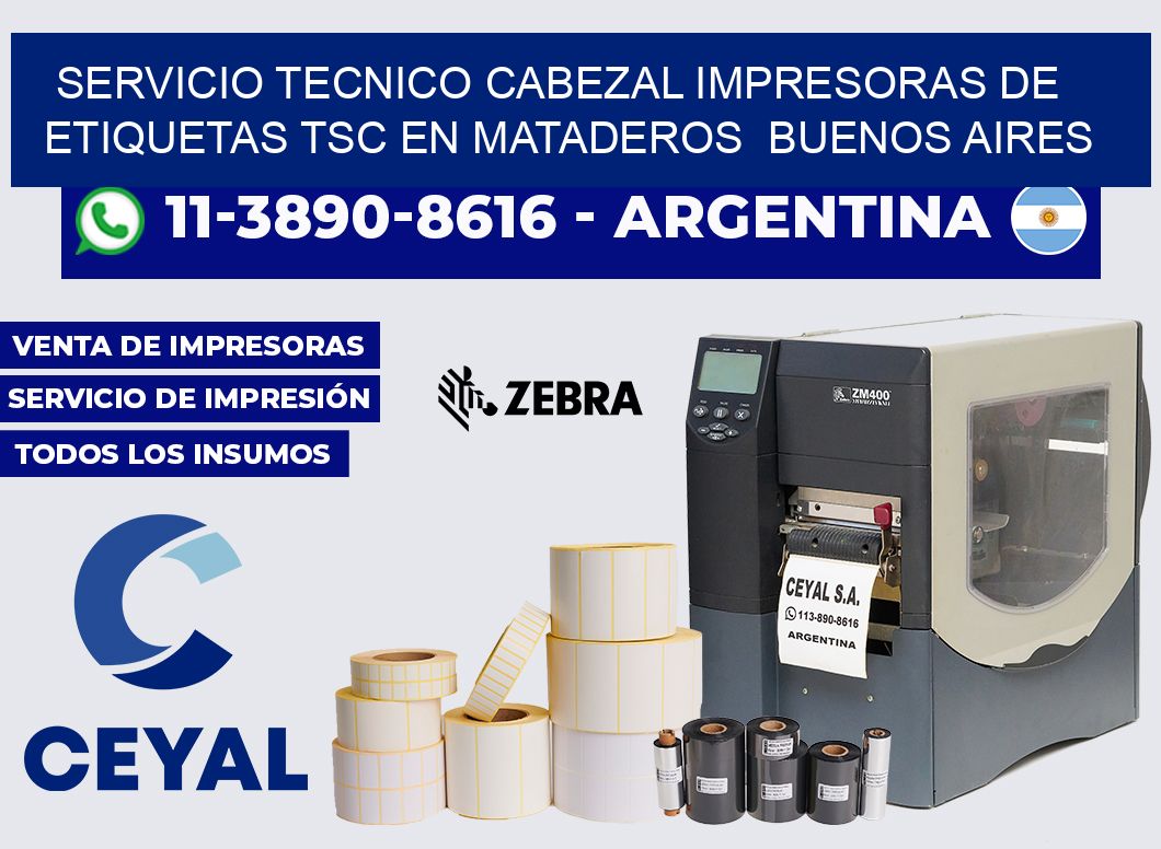 servicio tecnico cabezal Impresoras de Etiquetas TSC en Mataderos  Buenos Aires