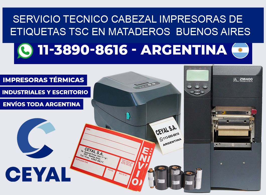 servicio tecnico cabezal Impresoras de Etiquetas TSC en Mataderos  Buenos Aires