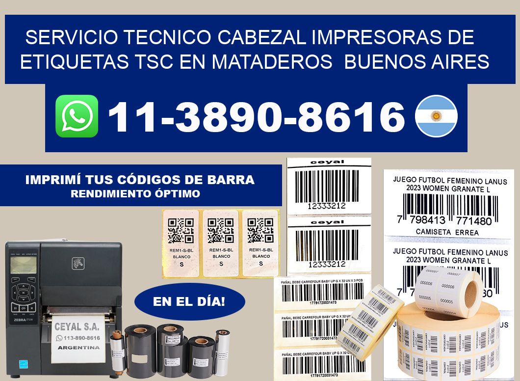 servicio tecnico cabezal Impresoras de Etiquetas TSC en Mataderos  Buenos Aires