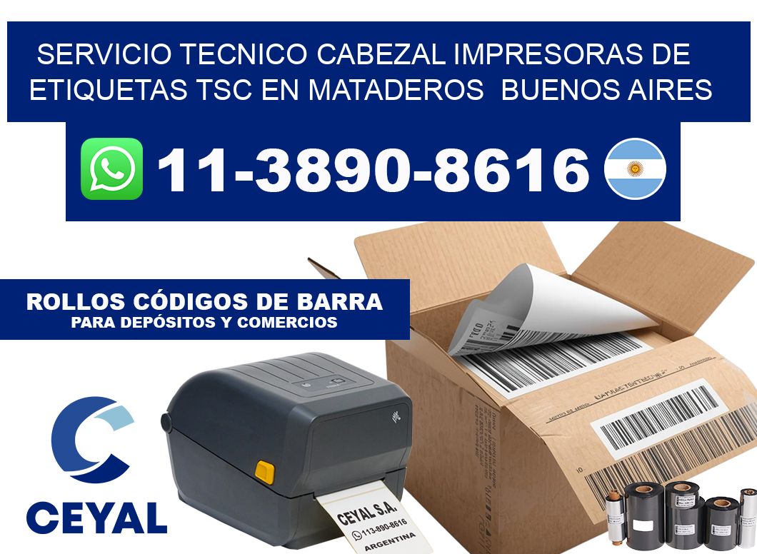 servicio tecnico cabezal Impresoras de Etiquetas TSC en Mataderos  Buenos Aires