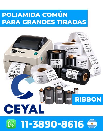 Impresora Zebra ZD220 + Rollos De Etiquetas Y Ribbon – San Nicolás argentina
